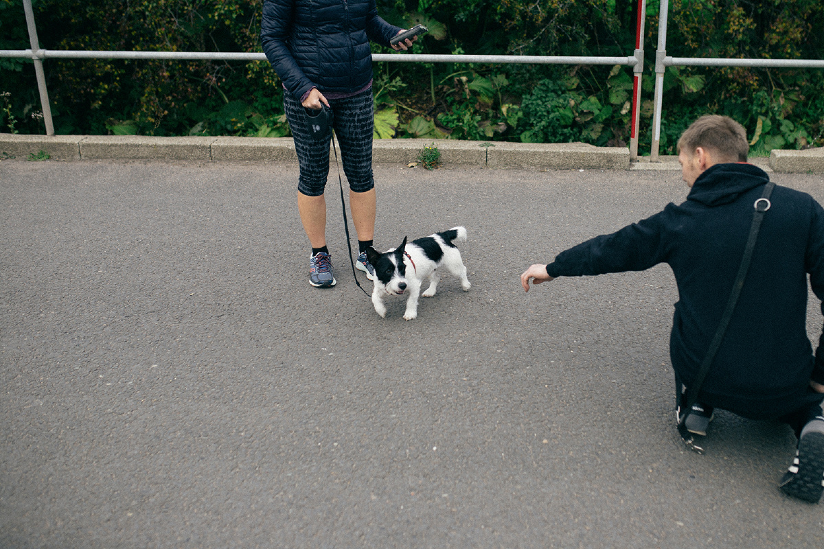 英国职业遛狗人lee watt