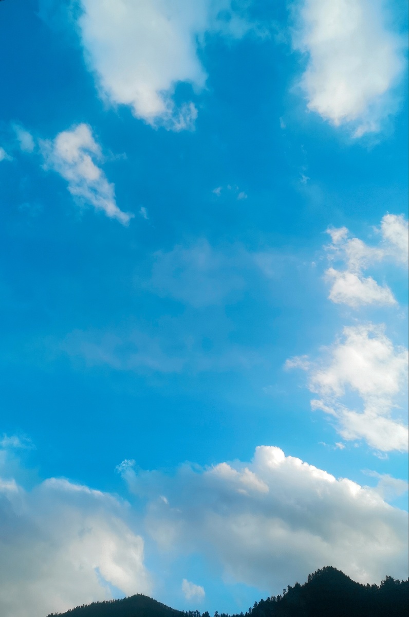 爱了这种偏薄荷绿的色调