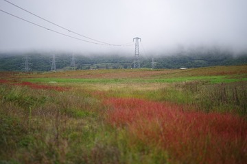 88740