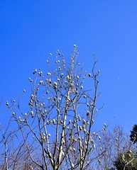 A81E3B33-C6E0-460D-8F35-F3934D0DEE74/L0/001