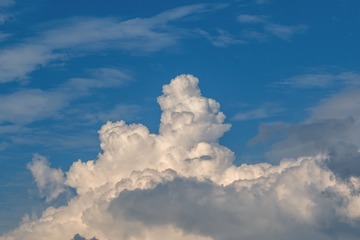 80A53444-F170-4A5D-A4E3-B0D29765507D/L0/001