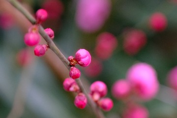 08A3B8AD-F110-48B9-A7E7-53116BD3D283/L0/001
