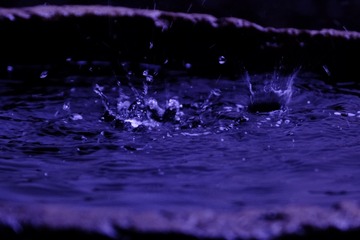 1C5F377B-84FE-402A-986E-83523B29EF4C/L0/001