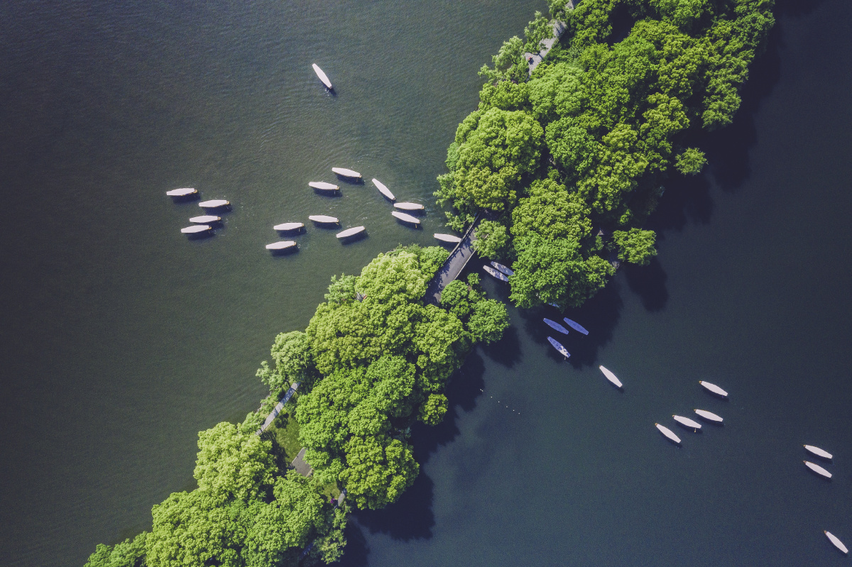 鱼贯而出 - griver