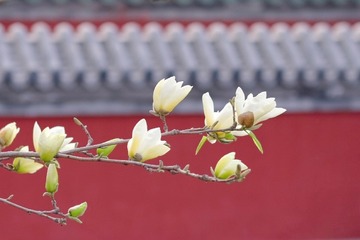 C2089F57-561A-4F0A-8990-C90E06F24BF1/L0/001