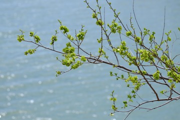 7F0EB3C8-A805-4DF0-B310-29B301E7C079/L0/001