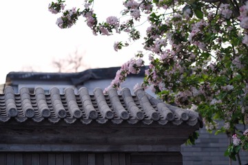 23FE65D1-8F4F-41F4-A3F9-28A8252ED812/L0/001