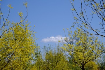B71C54D7-D93A-4689-8E91-D93A18A6A237/L0/001
