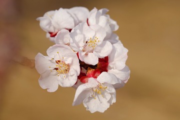 858C3579-9349-49AB-B5F3-6A15B919EC55/L0/001