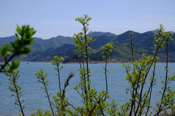 9F382A1E-EABF-42E2-A608-BE01E40154D2/L0/001