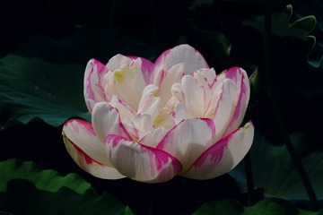 001