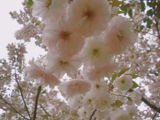 CEFDC491-01A3-4B4D-B9EB-518057F6819D/L0/001
