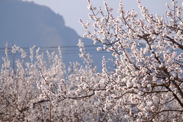 0533C91C-E23F-4354-98B7-28FFA9E02585/L0/001