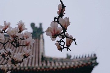 1D9D5033-BE1B-4D0C-B8A8-3F4D779BCA45/L0/001