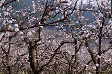 7031A3B7-91A1-4780-A90F-39A82AB32B12/L0/001