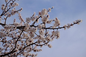 A6006B59-4AE6-4C11-BFEC-B50A1ECA6FF3/L0/001