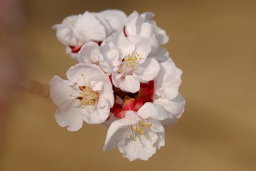 858C3579-9349-49AB-B5F3-6A15B919EC55/L0/001