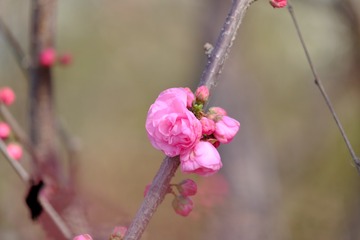 9D99FE89-22BB-46BC-B71B-96E15C89E46E/L0/001
