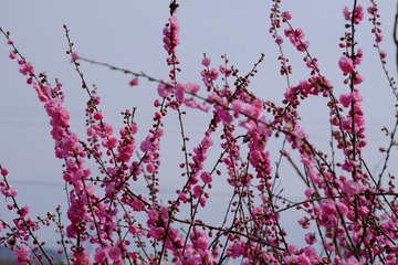 E2B9B76E-8750-4C6D-94BC-B4EA15D4D771/L0/001