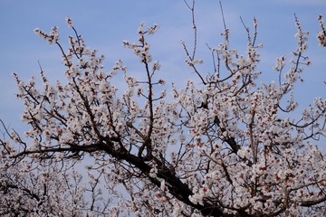 E8AB23D0-2560-47BC-85A2-C4AB38672740/L0/001