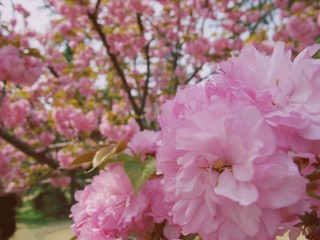 97A1CA0F-EBB7-4E15-8E9B-B8C09BCBC380/L0/001