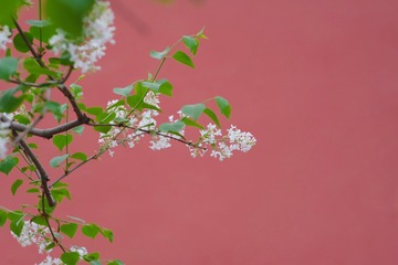 31B915A7-BE7E-42BA-A7E7-E30922AC657F/L0/001