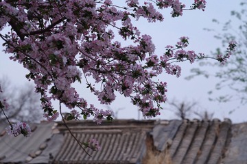 914B96A7-5F6A-47D2-9D12-1A796DF4B9EE/L0/001