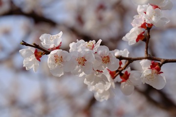 1A4AC6E1-8AE4-43A6-93F7-1ED29EB57109/L0/001