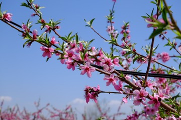 6C25B0D8-6B78-4FF9-A48D-7E02F50C7D69/L0/001