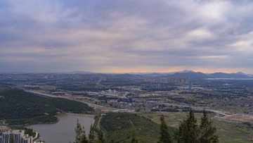 1000102384