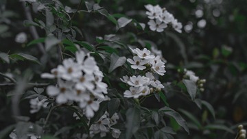 1000102334