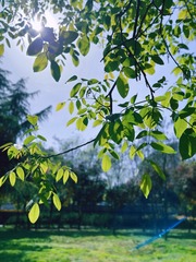 D63959BB-3684-4507-93CF-3BF13387D0B4/L0/001