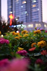 B9F1771C-6DB9-4BC6-A8AE-14FC62BF5CC1/L0/001