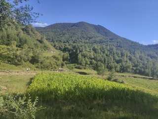 1000036270