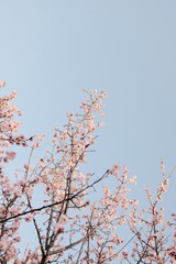 9C2EF172-6025-4072-B9B6-0E4FA6E6EA29/L0/001