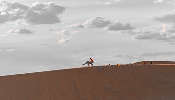 115906