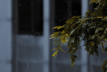142197