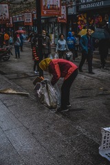 5008281