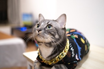 486991