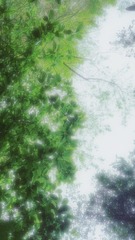 28887E6A-9558-4572-B130-802289B72A22/L0/001