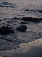 727E93B6-909B-4098-B815-4F147E82C9B0/L0/001
