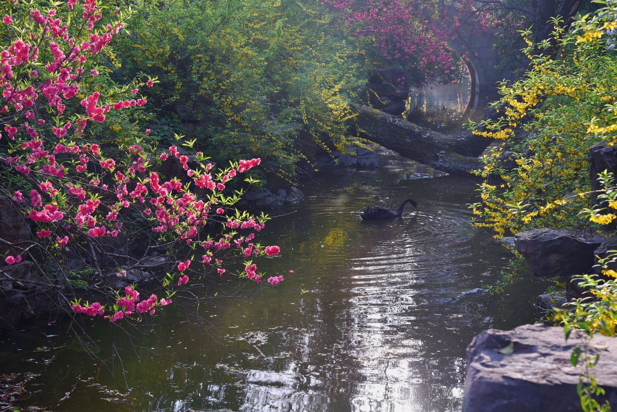 黄驷娘家花满溪