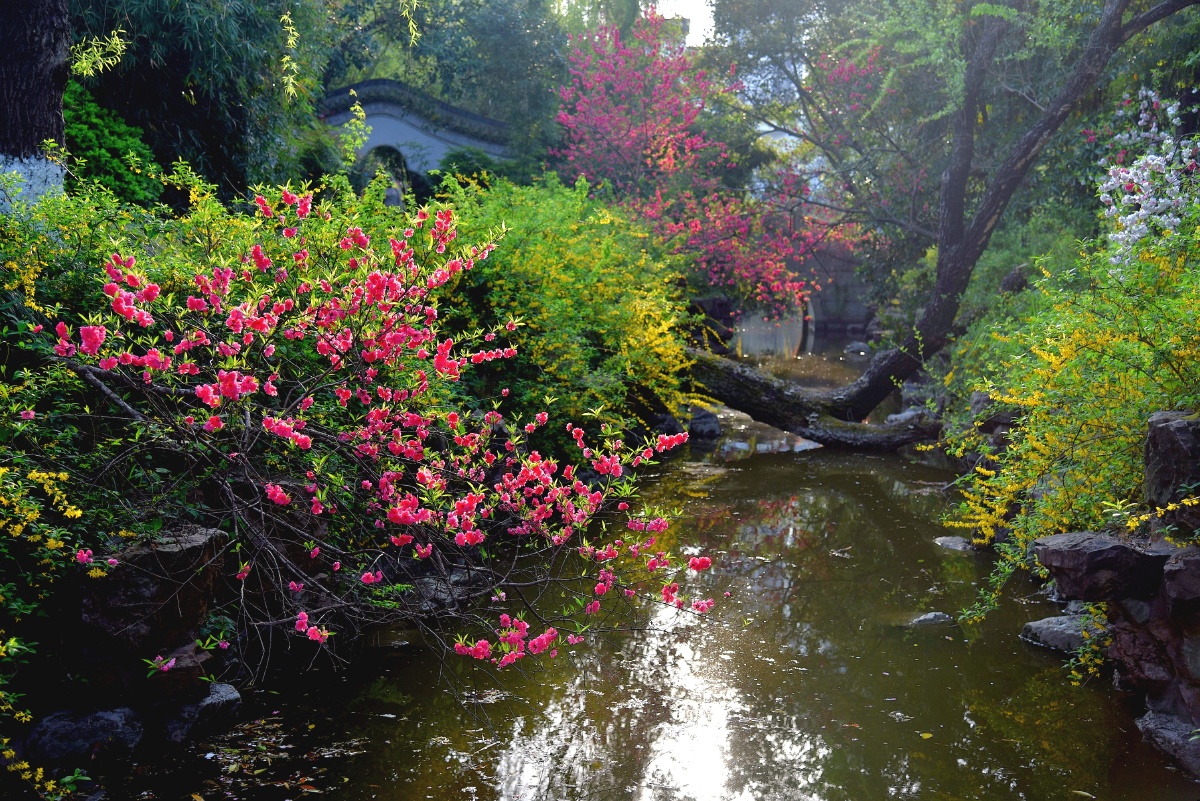 黄驷娘家花满溪