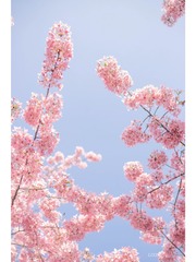 C2CAD09B-1167-4AE0-925C-15AB9D5DC955/L0/001