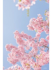 D3D33440-6A34-4412-AD56-FDA24A5FB18C/L0/001