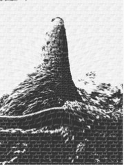 1641607