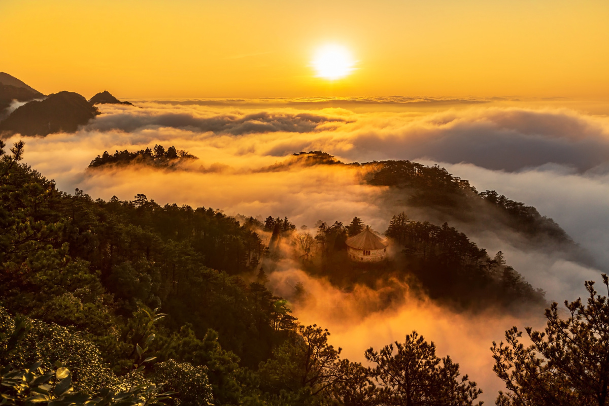 雨过天晴,云雾缭绕,云海起伏峰林显露,夕阳普照映红山叠奇观!