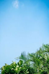 499905C9-0E1C-4329-8B5B-F90E40BF828C/L0/001