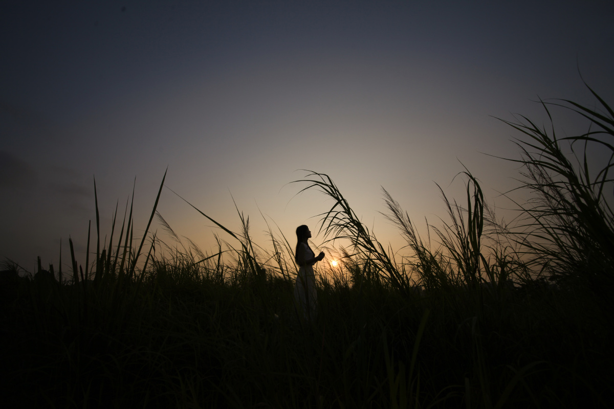 夕阳里的影子