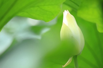 IMG_3697_